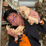 岩田 智文