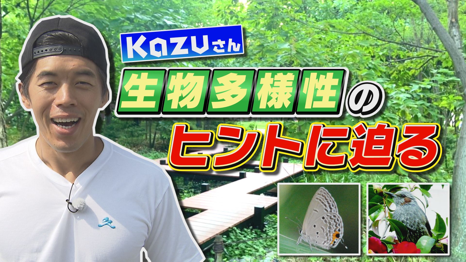 「Kazuさん 生物多様性のヒントに迫る」動画を公開しました